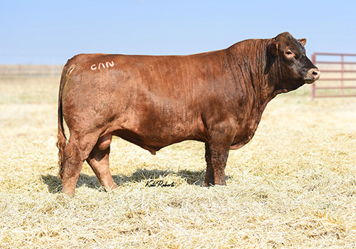 TRI-N TONTO 835F QM201724